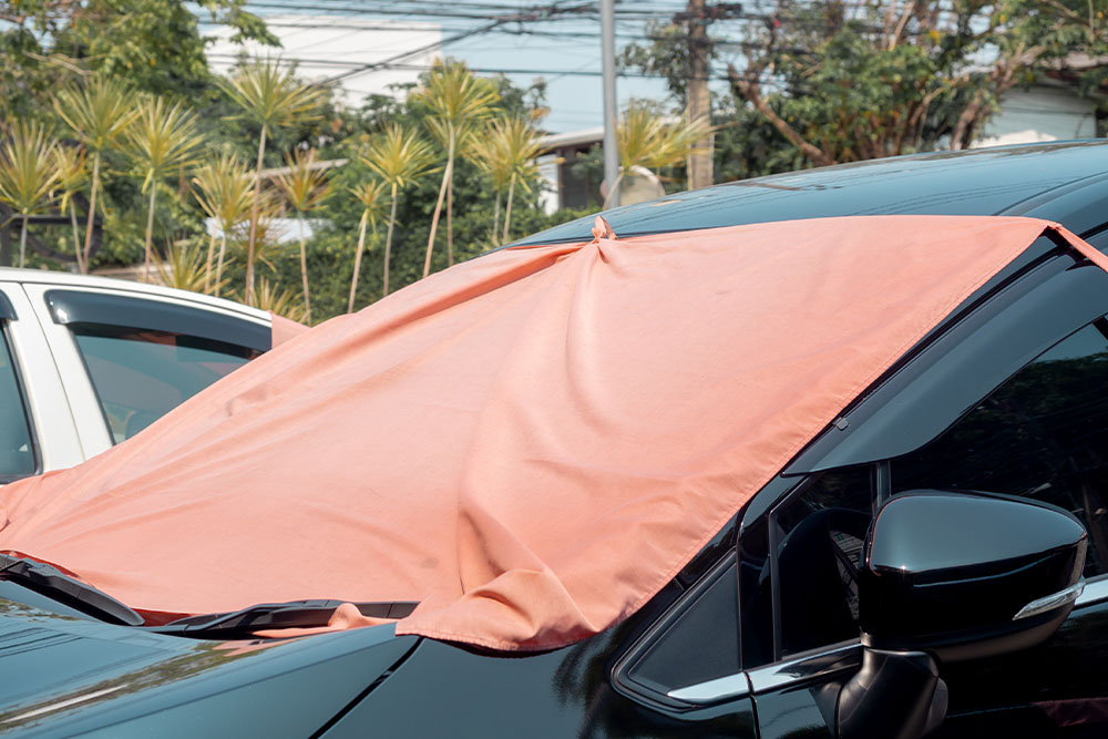 canvas_windscreen
