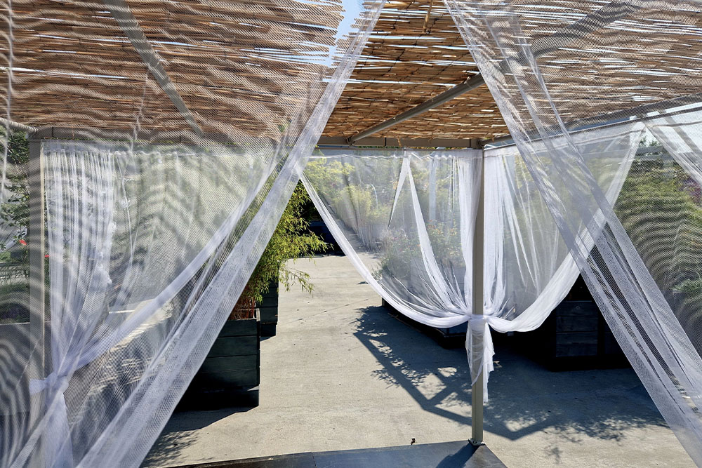 hanging pergola curtain img