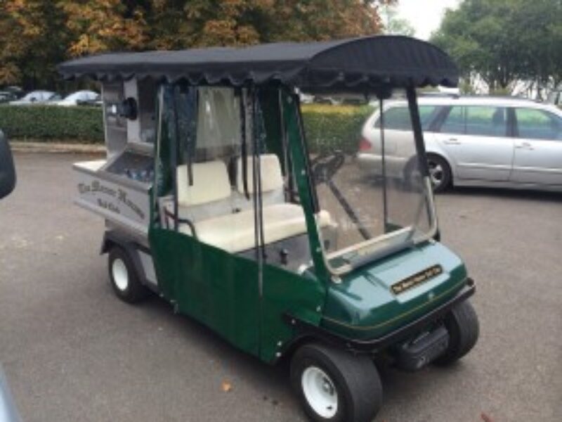 buggy cover 2